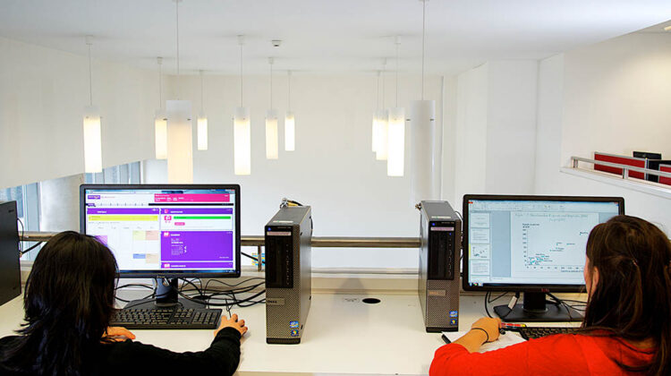 Two students looking at their individual computer screens.