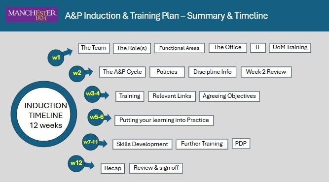Screengrab of the induction timeline