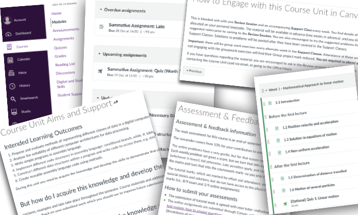 screenshots of some of the standard Canvas Template pages found in each course unit